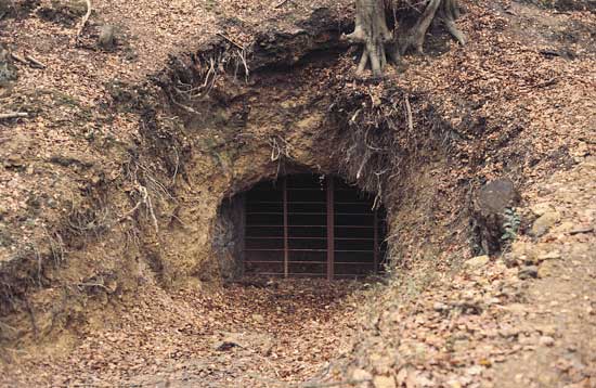Grilles like this allow bats access into underground sites, but exclude humans.